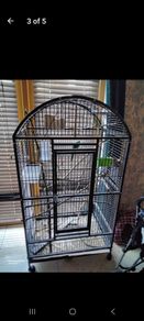 bird cage