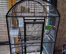 bird cage