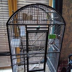 bird cage