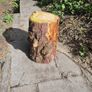 Fire Wood Image 4