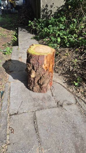 Fire Wood