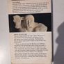 Greek Sculpture from the 16th to the 2nd Century B.C. by Francois Chamoux Image 2