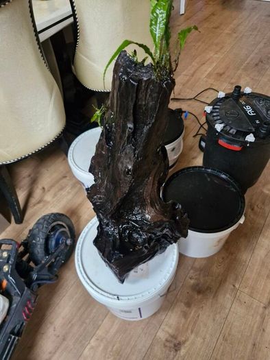 fish tank wood