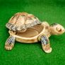 Original WADE Whimsy Tortoise trinket box Image 3
