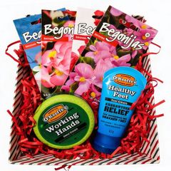 Gift set: O'Keefe's Cream x 2 & 4 packs of wax begonia seeds