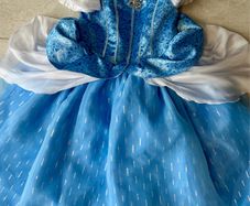 Genuine Disney Princess Dress