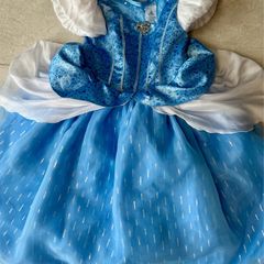 Genuine Disney Princess Dress