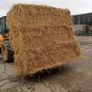 last year's barley straw Image 3