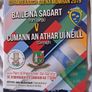 Munster Club Hurling Programmes x 8 Image 8