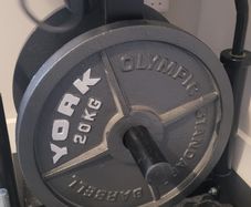 York 20KG plates