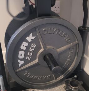 York 20KG plates