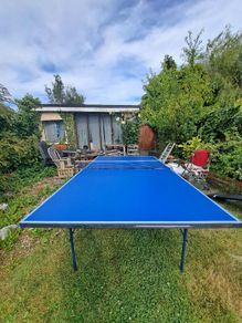 ping pong table