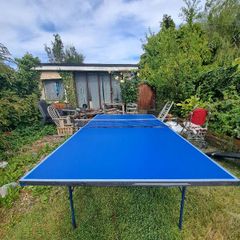 ping pong table