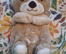 Fisher-Price Soothe 'n Snuggle Otter- portable baby sleep aid.