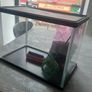 Aqua Dreams Starter Aquarium 18lt Image 4