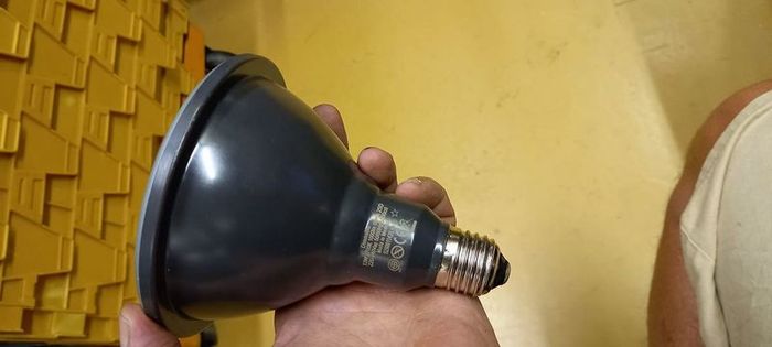 Phillips dimmable bulbs