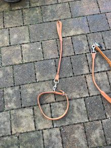 dog collar