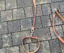 dog collar