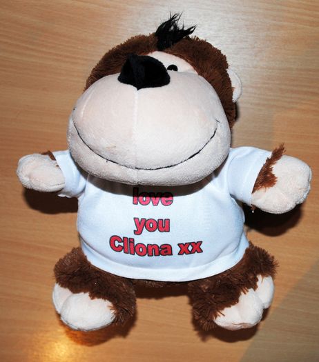 Personalised Monkey soft toy