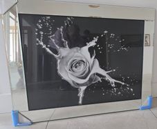 Splash rose print mirror framed