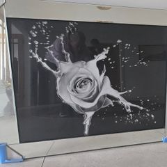 Splash rose print mirror framed