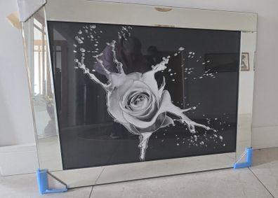 Splash rose print mirror framed