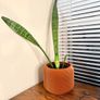 Plant Pot Cover Image 6