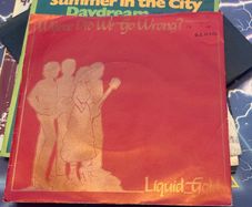 Liquid Gold Where Did We Go Wrong 1982 7 Inch 45 Vinyl Record