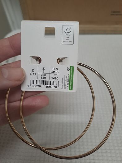 Large hoop Earrings