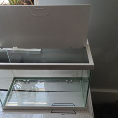 aquarium