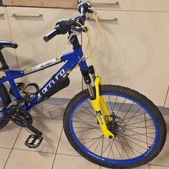 Carrera Bike