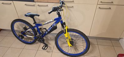 Carrera Bike