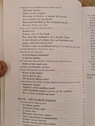 In Search Of Heathland By  Lee Chadwick.