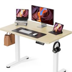 Electric Standing Desk 100x60cm