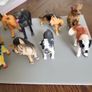 Dog collection plastic Image 4