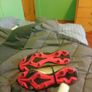 football boots Image 3