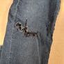 Womens Tommy Hilfiger Jeans Como Rw Jegging Fit Size W 26 Image 8