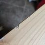 Ikea Hemnes Tv Unit/bench, Black-brown Image 4