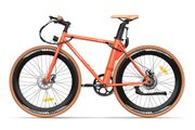 Fafrees F1 Electric Bike