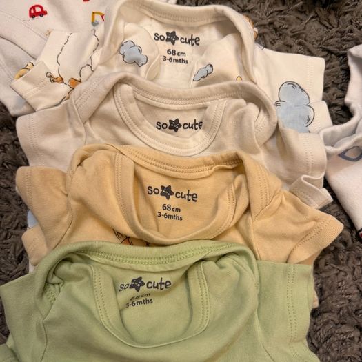 Bundle of 12 short sleeve body suits and 3 shorts
