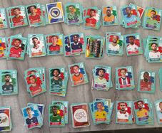 Panini World Cup stickers