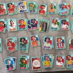 Panini World Cup stickers