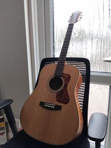 Guild D-240E Limited Edition