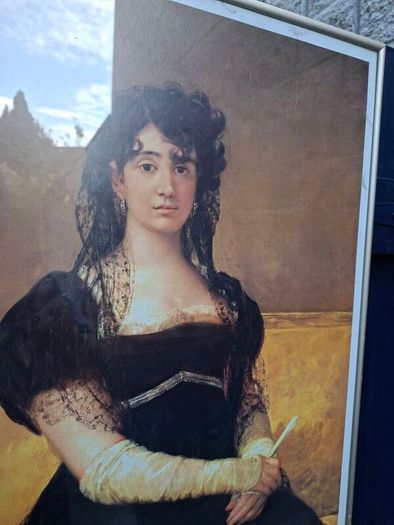 Framed Print by Goya