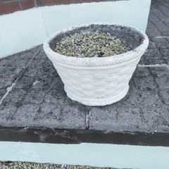 Flower Pots X 2