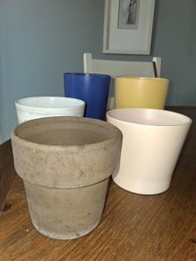 Plant Pots