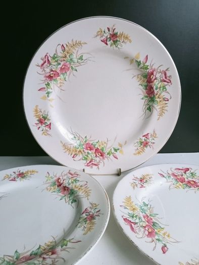 vintage Arklow Pottery plates x 3