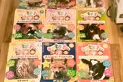 Tots Tv. Animal Friends Magazines. X15.