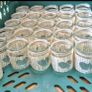 wedding decor - tealight jars Image 2