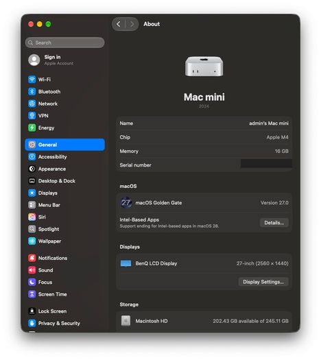 Mac Mini M4 (10GbE)